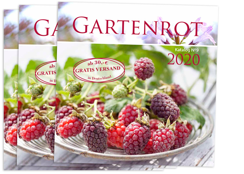 Garten Katalog Kostenlos Bestellen Katalogbestellung